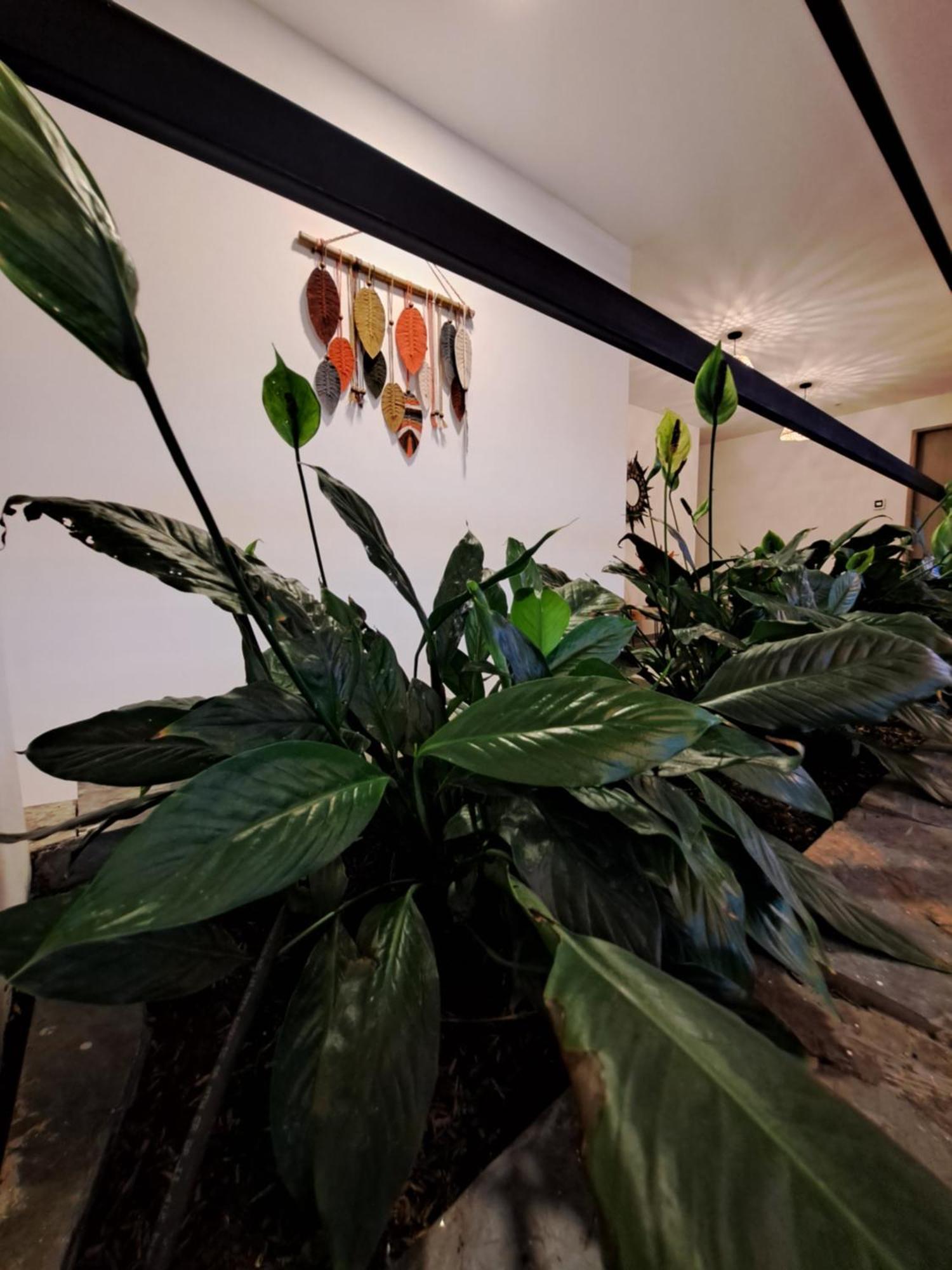 Guatape Country House Hotel Kültér fotó